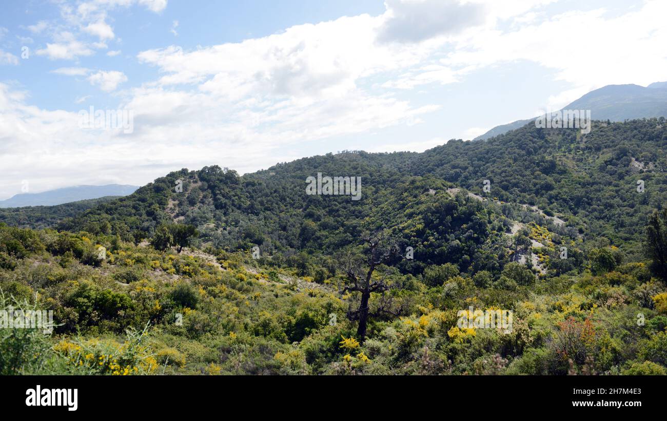 Landschaften in der Rif-Bergregion im Norden Marokkos. Stockfoto