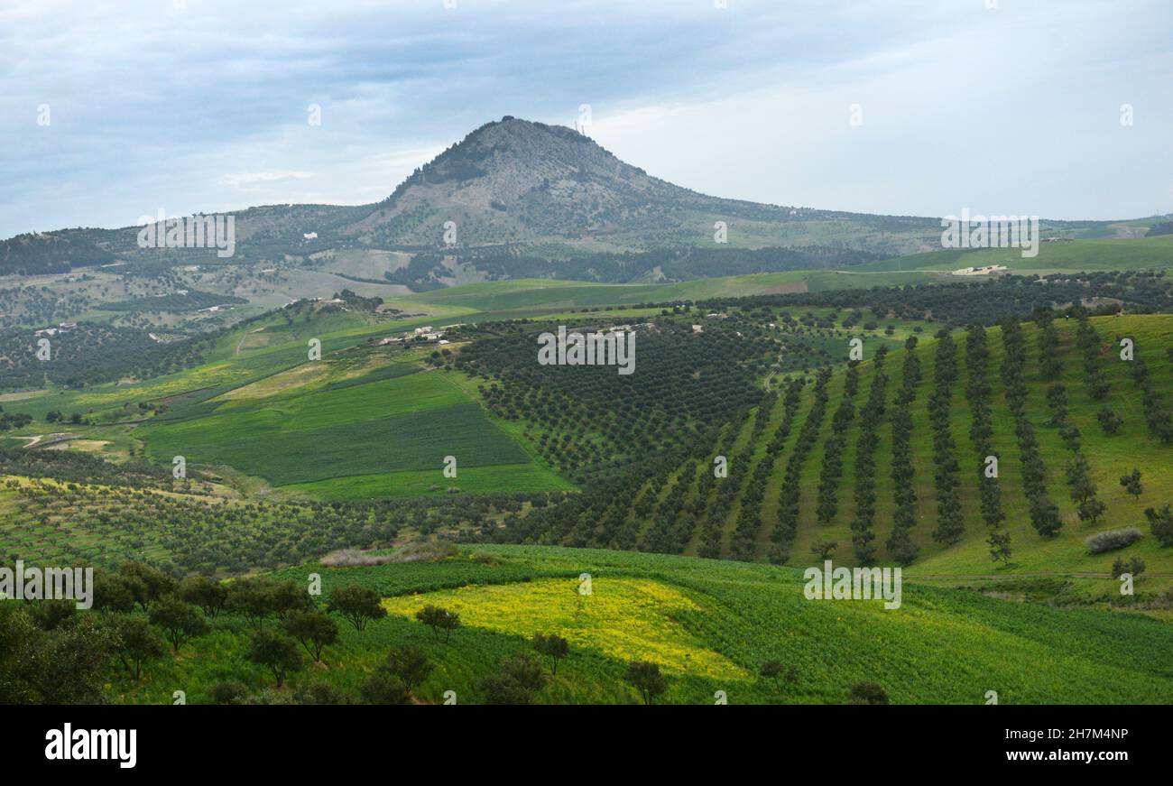 Landwirtschaftliche Landschaften im Norden Marokkos Stockfoto