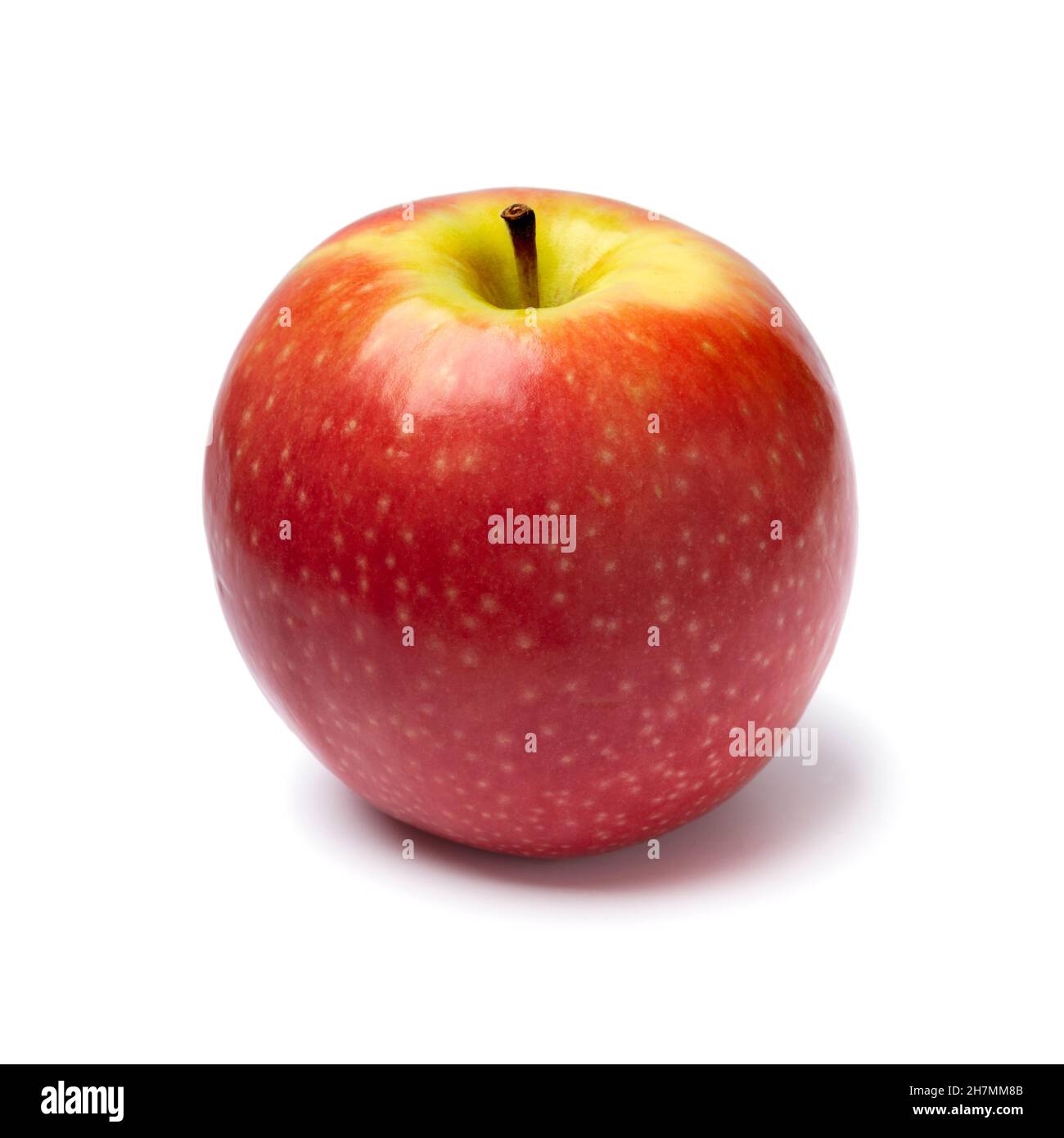 Einzelne frische gesunde Pink Lady Apfel isoliert auf weißem Hintergrund Stockfoto