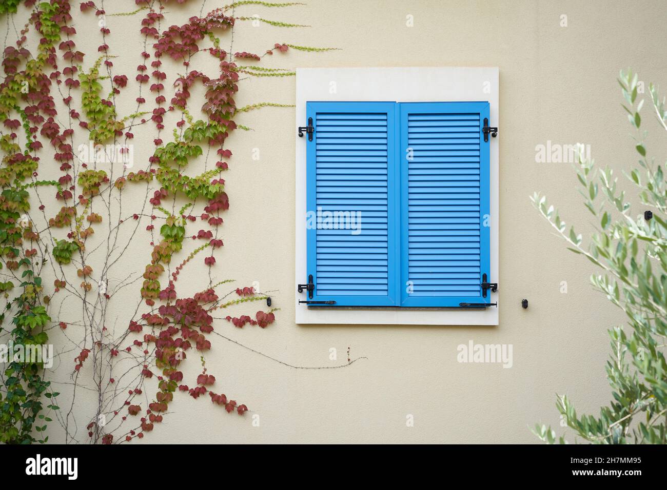 Blaue Kunststoff-Fensterläden auf einem Wohngebäude mit Kletteranlage. Stockfoto