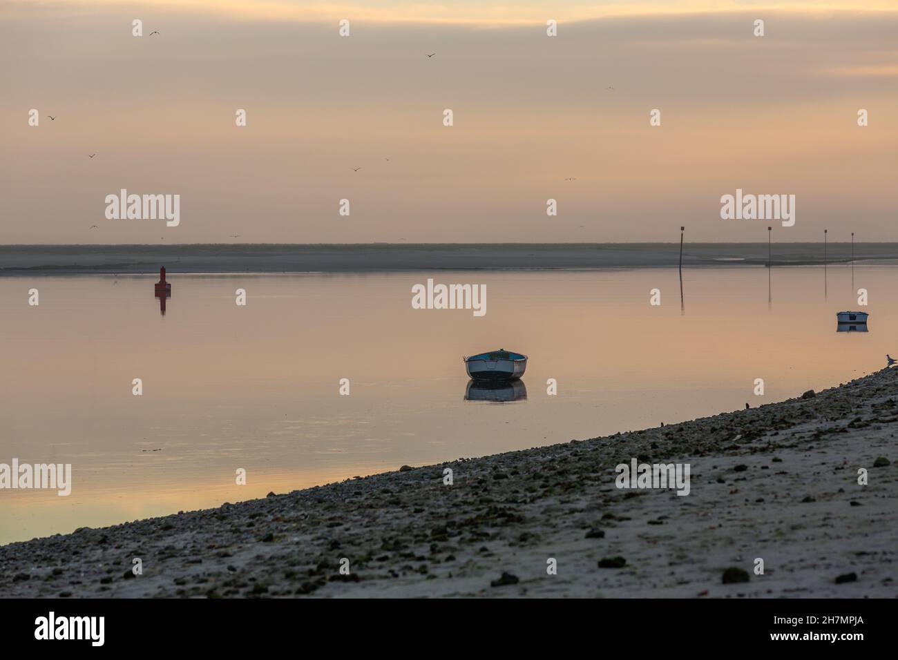 Ruderboote vertäuten bei Ebbe in der Baie de Somme. Saint-Valery, Frankreich Stockfoto