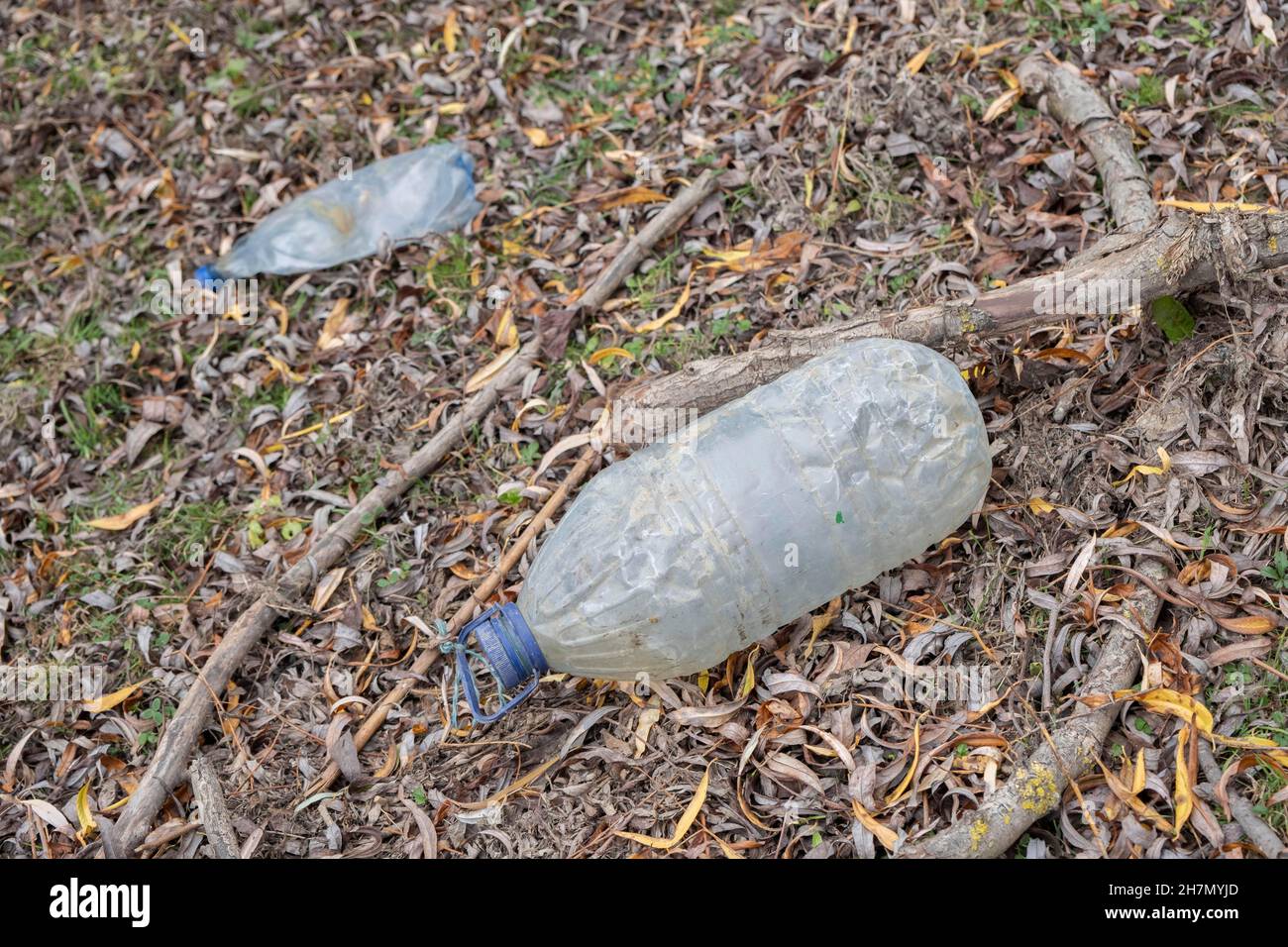 Weggeworfene Plastikflaschen auf einer Wiese in der Uferzone. Ermakov Island, Donau Biosphärenreservat im Donaudelta, Ukraine Stockfoto