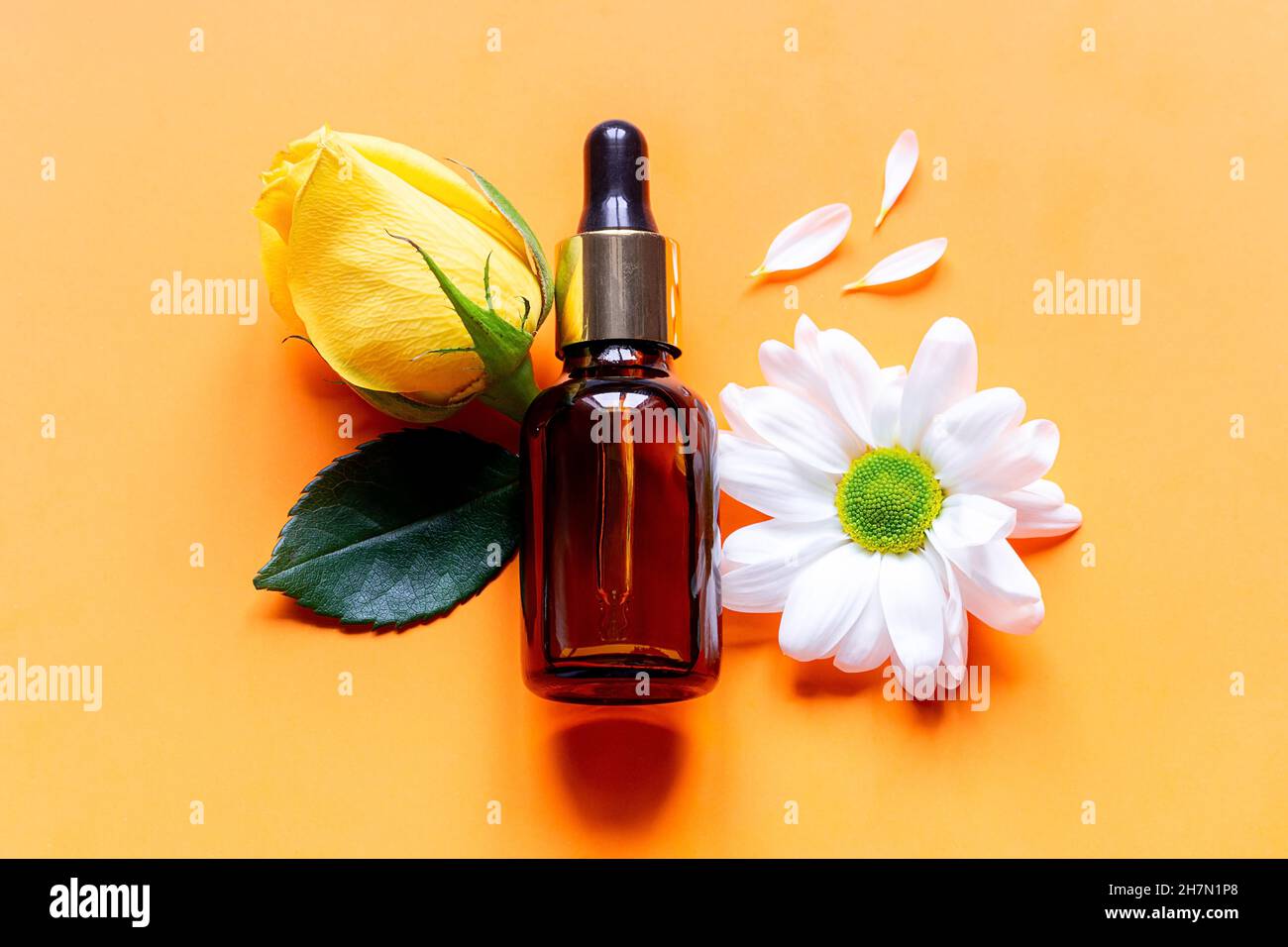 Parfüm und Blumen auf orangefarbenem Hintergrund aus nächster Nähe Stockfoto
