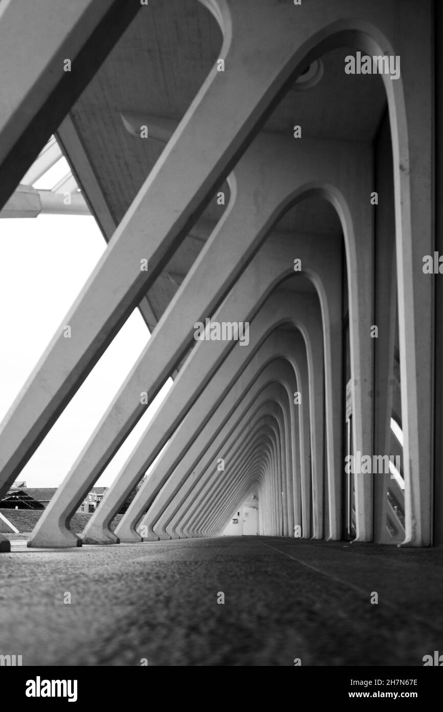 Vertikale Graustufenaufnahme des Entwerfs des Bahnhofs Lüttich-Guillemins in Frankreich Stockfoto