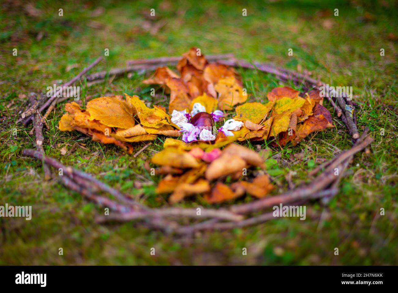 Herbstlaub LandArt Konzept auf Gras Stockfoto