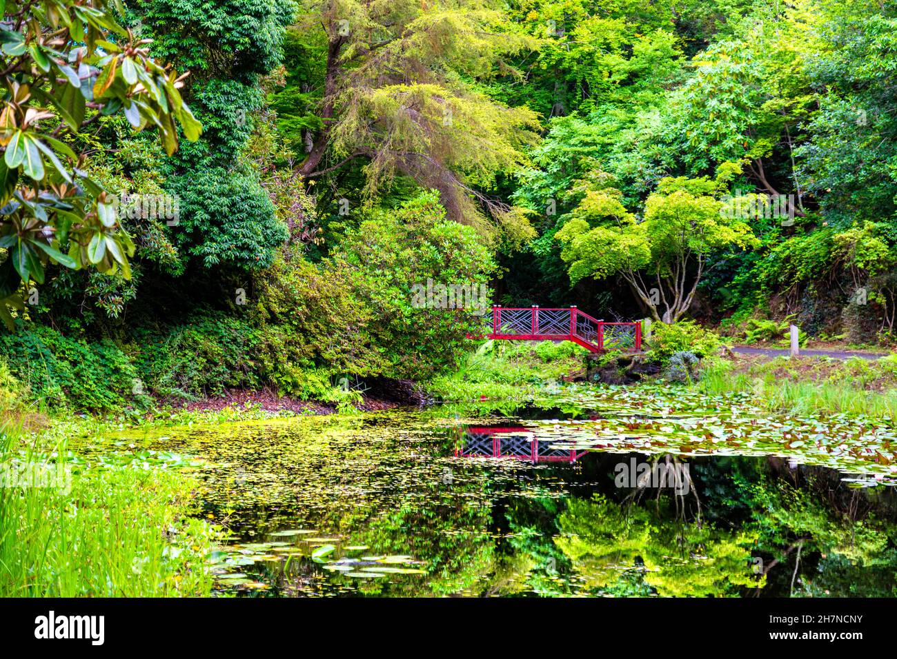 Rote Brücke über den chinesischen See bei Portmeirion Gardens, Morfa Harlech, Snowdonia, Wales, Großbritannien Stockfoto