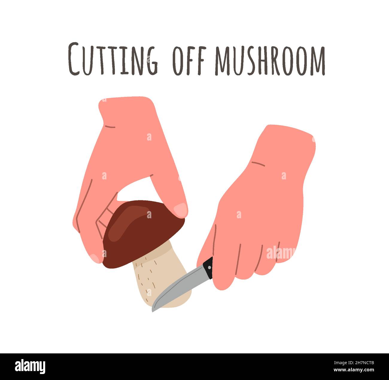Pilze sammeln, Pilze sammeln, die Methode des Schneidens von Pilzen an der Wurzel mit einem Messer.Vektor flache Abbildung. Stock Vektor