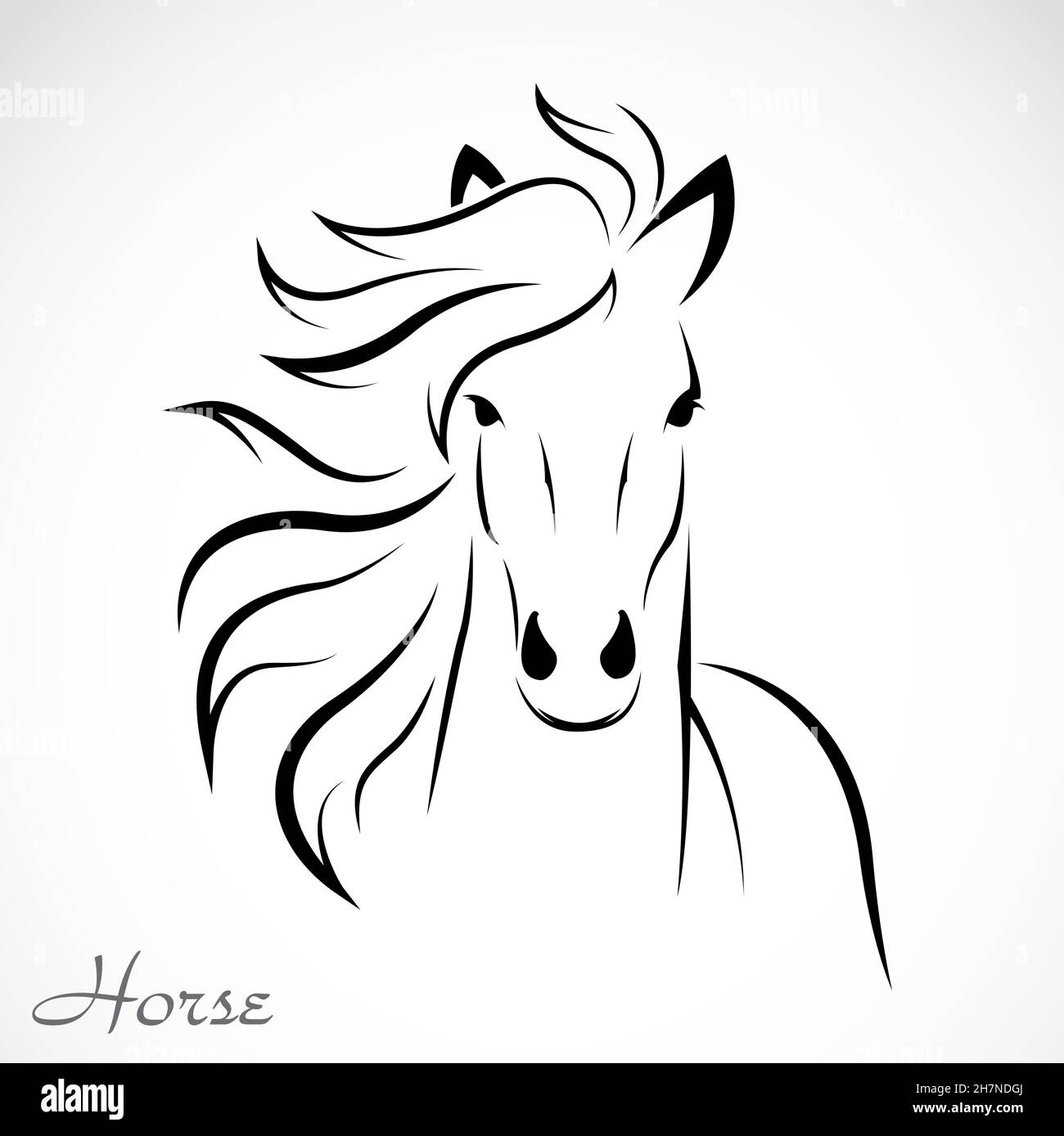 Vektor eines Pferdes auf weißem Hintergrund. Leicht editierbare Vektorgrafik mit Ebenen. Wilde Tiere. Stock Vektor