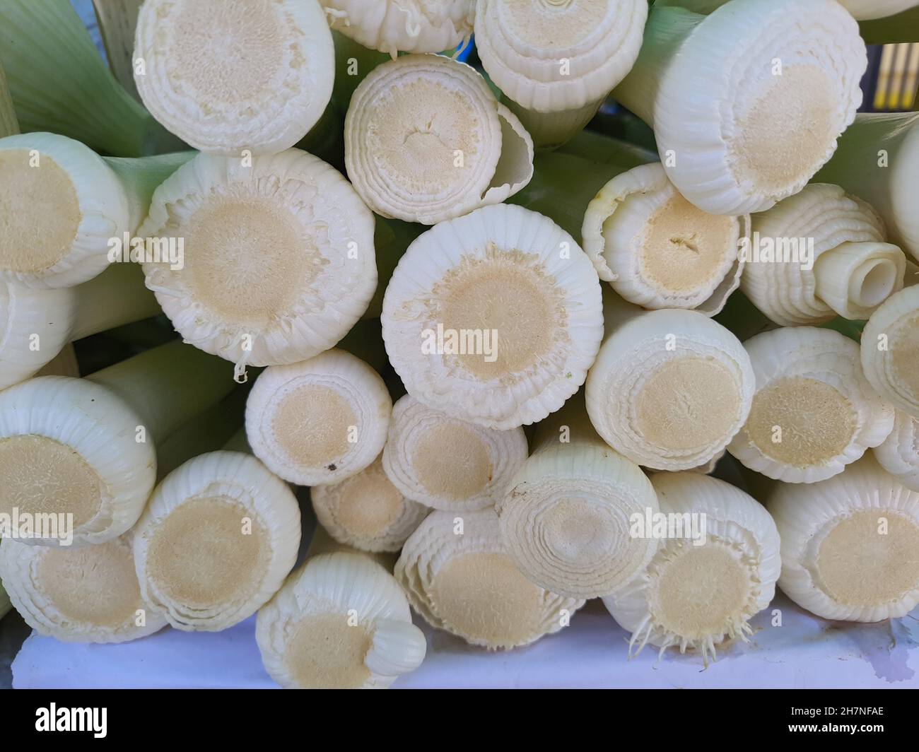 Lauch, der auf einem Straßenmarkt angehäuft wird, ist ein Gemüse, das zur gleichen Familie (Amaryllidaceae) wie Zwiebeln und Knoblauch gehört. Stockfoto