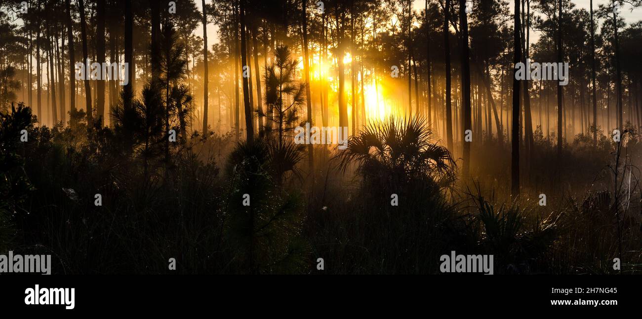 Wunderschöne Sonnenuntergangsszenerie im Everglades National Park, Florida Stockfoto
