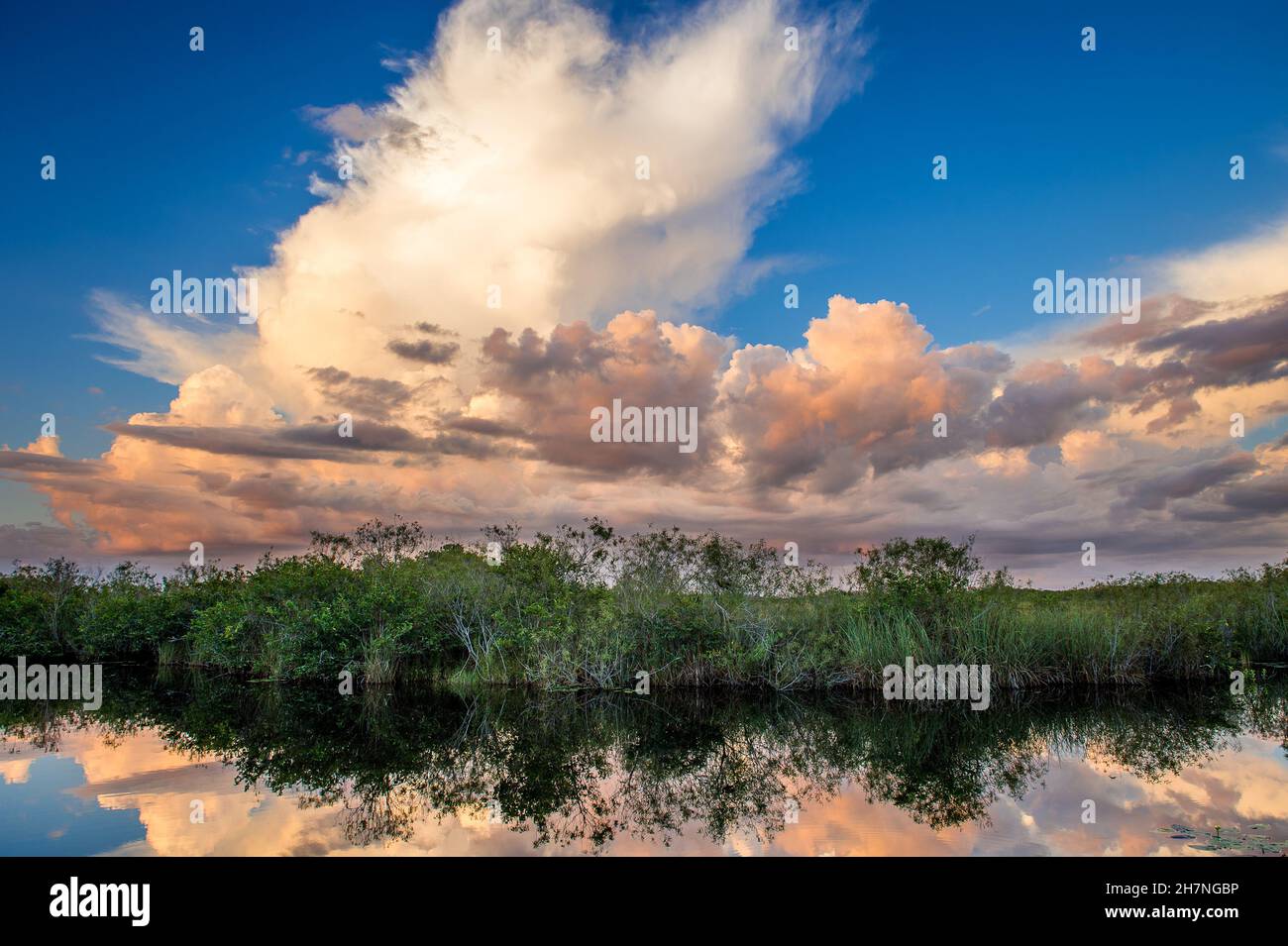 Faszinierender Blick auf den Everglades National Park in Florida bei Sonnenuntergang Stockfoto