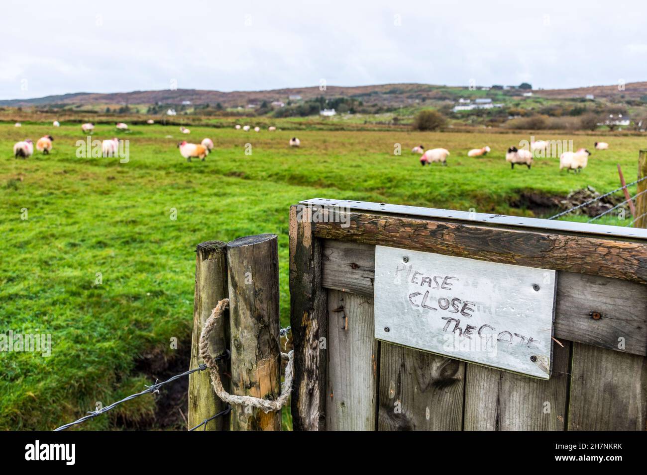 Bitte schließen Sie das Tor, Schild, Beschilderung, an einem Tor auf Ackerland, County Donegal, Irland Stockfoto