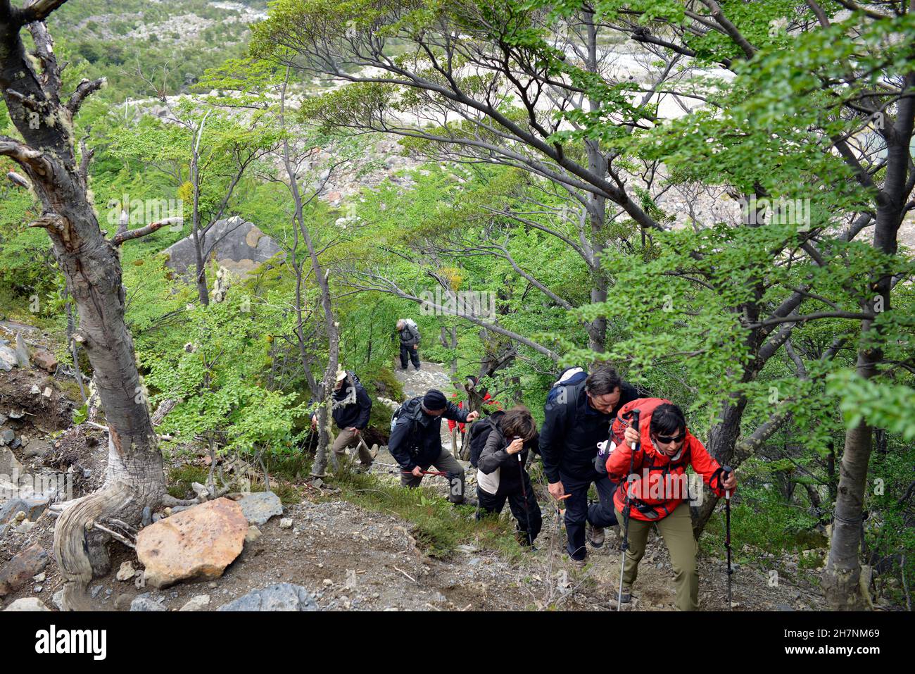 Patagonien-Torres del Paine Nationalpark-chile Stockfoto