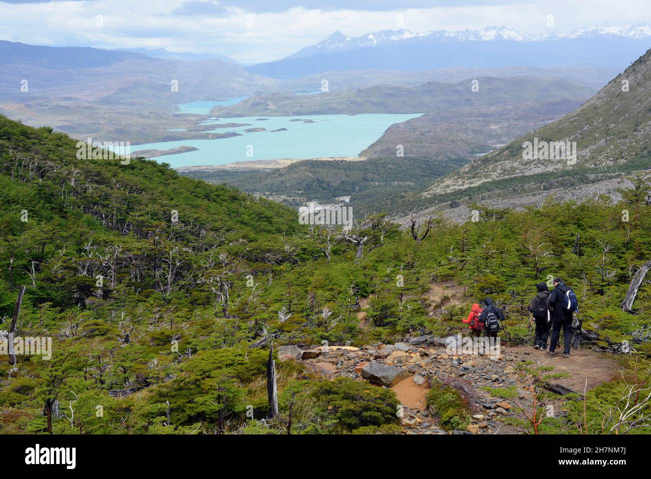 Patagonien-Torres del Paine Nationalpark-chile Stockfoto