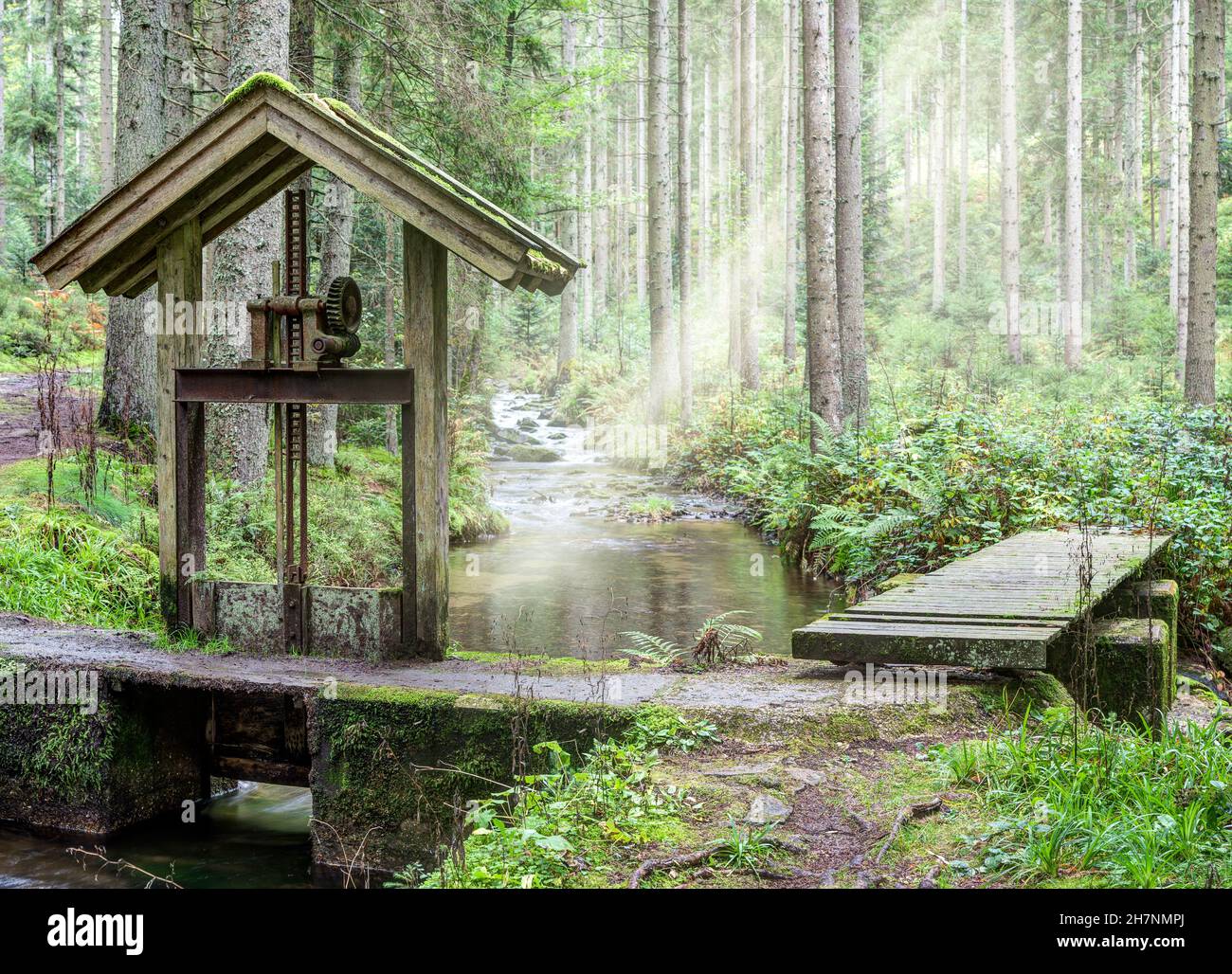 Altes Wehr am Waldwiesbach, der im Volksmund als Schussbach bekannt ist und durch ein wildromantisches Waldgebiet fließt. Stockfoto
