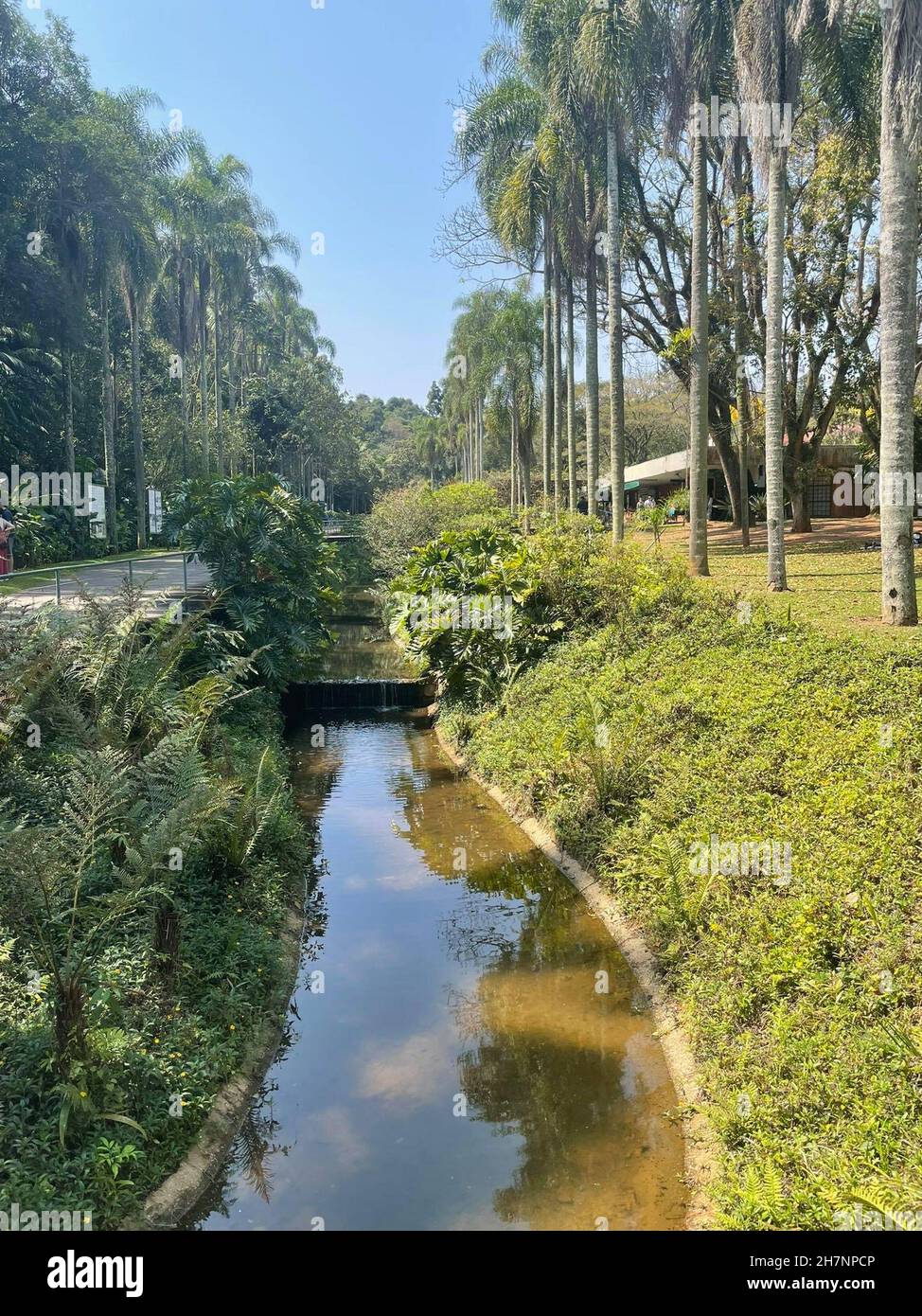 Riacho do Ipiranga im Botanischen Garten von São Paulo, Brasilien. Stockfoto