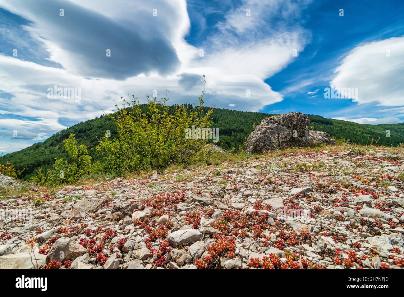 Windiges Wetter in der Provence, Frankreich. Landschaft Landschaft mit Rocky Road und windig Wolken Stockfoto