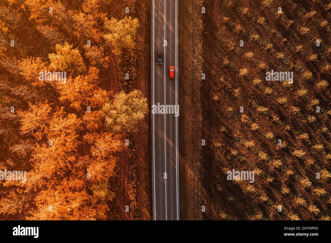 Luftaufnahme von zwei Autos, die am Herbstnachmittag auf der Straße durch Laubwald vorbeifahren, Drohne pov von oben nach unten Stockfoto