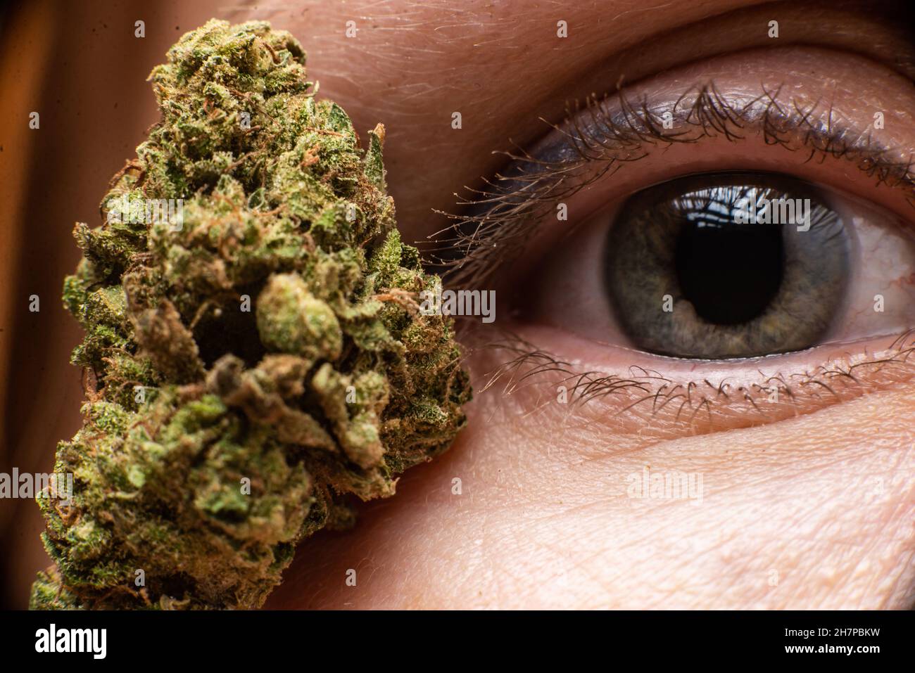 Marihuana und Vision Konzept. Cannabisblütenknospe auf dem Hintergrund eines menschlichen weiblichen Auges, das nicht im Fokus steht. Stockfoto