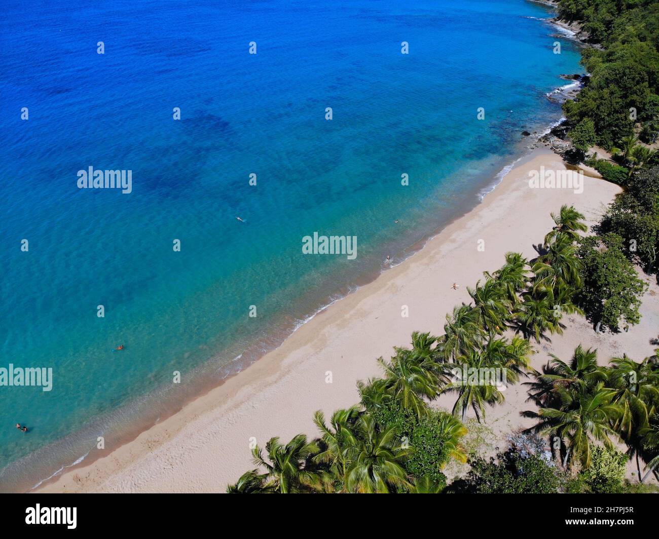 Blick auf den Strand von Guadeloupe. Karibische Urlaubslandschaft. Sandstrand Grande Anse auf der Insel Basse-Terre. Stockfoto