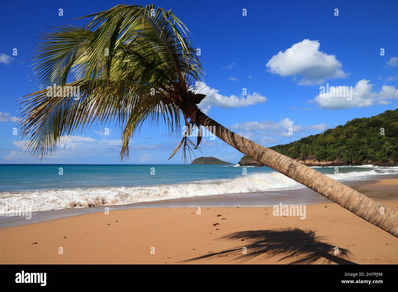Sandstrand von Guadeloupe. Karibische Urlaubslandschaft. Perle Beach (Plage de la Perle). Basse-Terre. Stockfoto