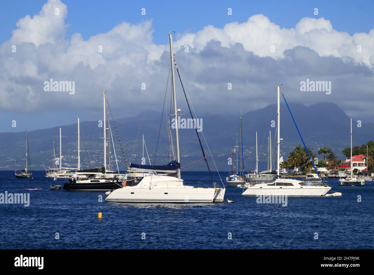 Guadeloupe - Les Saintes Inseln. Marina von Terre de Haut, die Bojen festmachen. Stockfoto