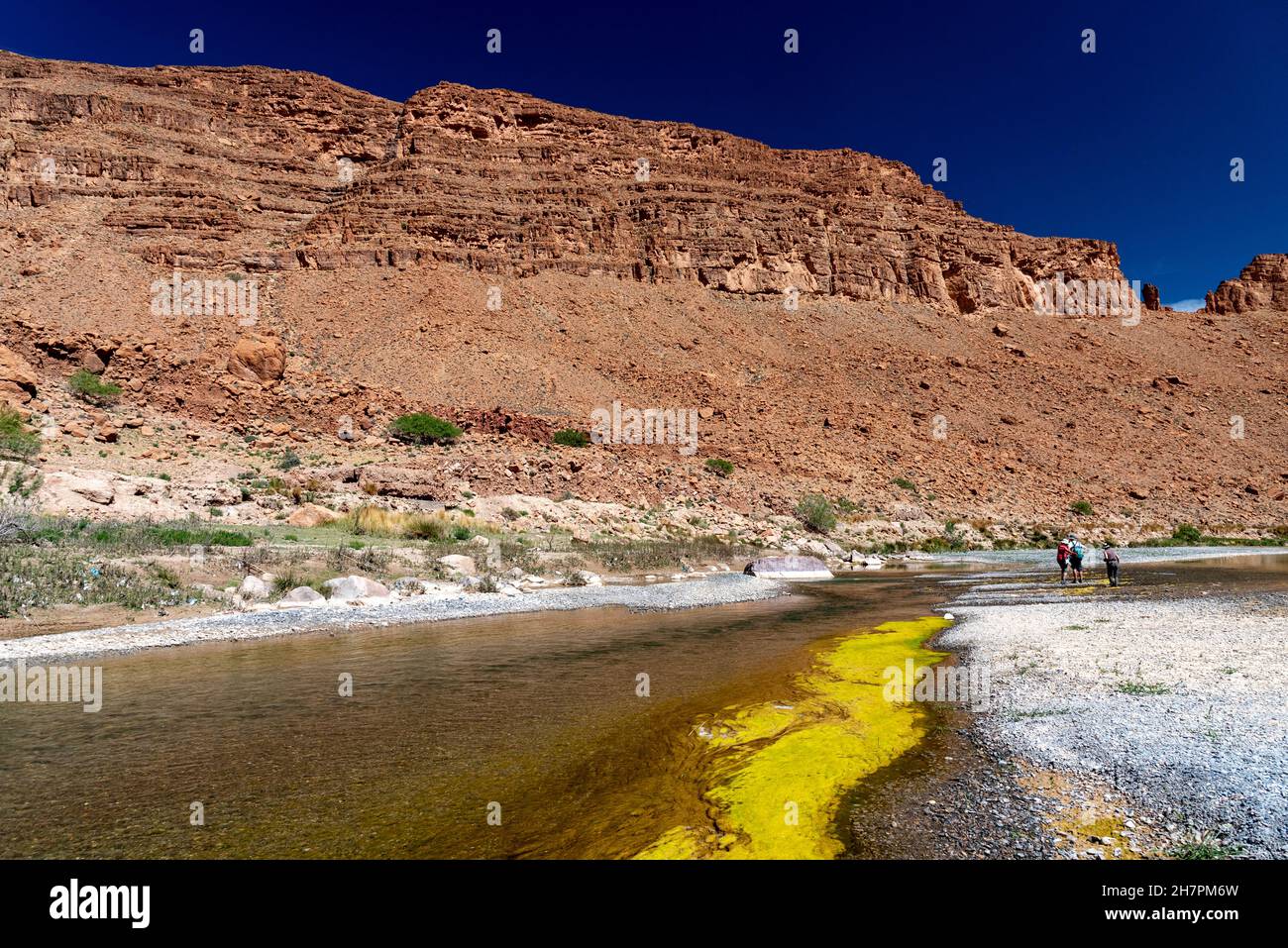 Bilder von Marokko. Ein Blick auf den Grund der Ziz-Schluchten, mit dem Kontrast zwischen der roten Klippe, dem weißen Kiesboden und dem gelben Grün Stockfoto