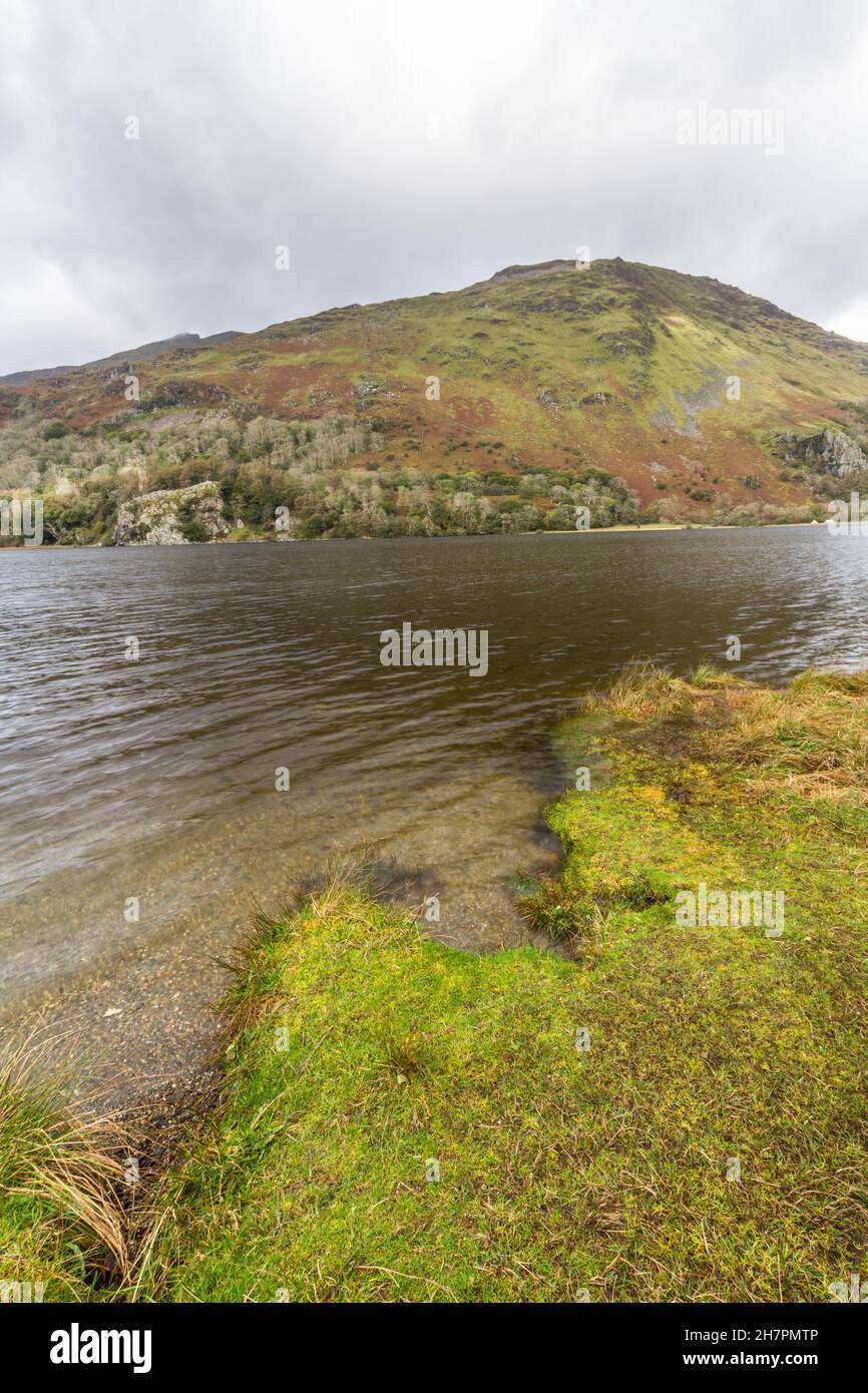 Llyn oder Lake Gwynant in Nant Gwynant Pass. Snowdonia, Wales, Porträt. Stockfoto