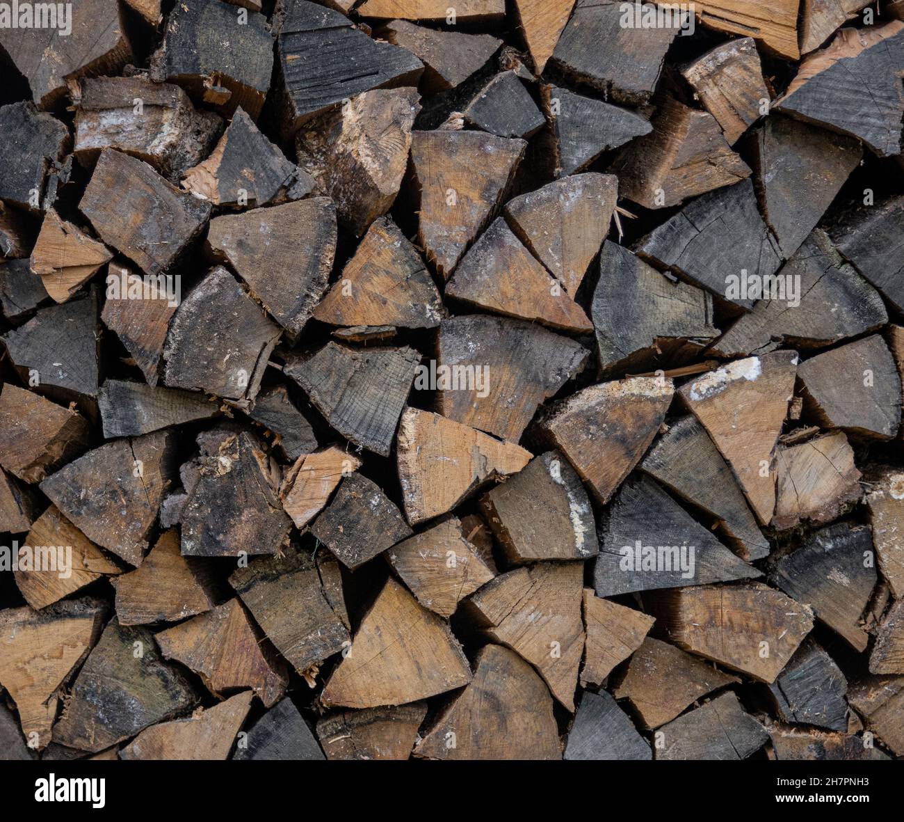 Nahaufnahme Stapel von trockenem Brennholz Eiche Holzstämme, gehackt, gespalten und in einem Stapel für den Winter Brennstoff Vorrat organisiert, niedriger Winkel, Seitenansicht Stockfoto