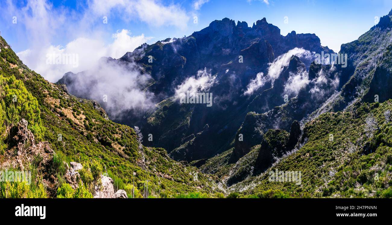 Wandern in den felsigen Bergen der Insel Madeira. Weg zum höchsten Punkt des Pico Ruivo, vorbei in den Wolken Stockfoto