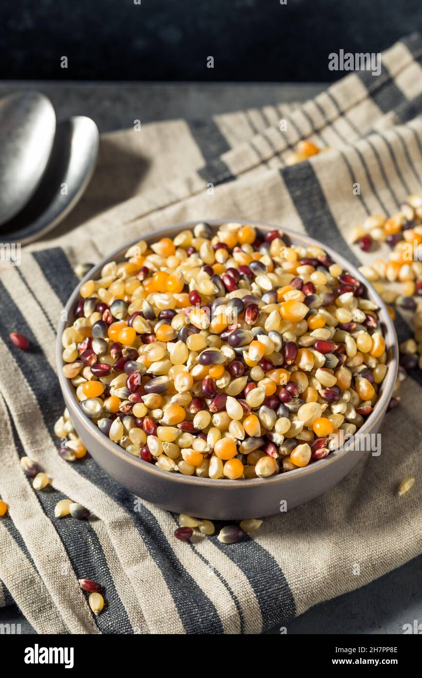 Trocken organisch sortiert Regenbogen Popcorn bereit zum Kochen Stockfoto