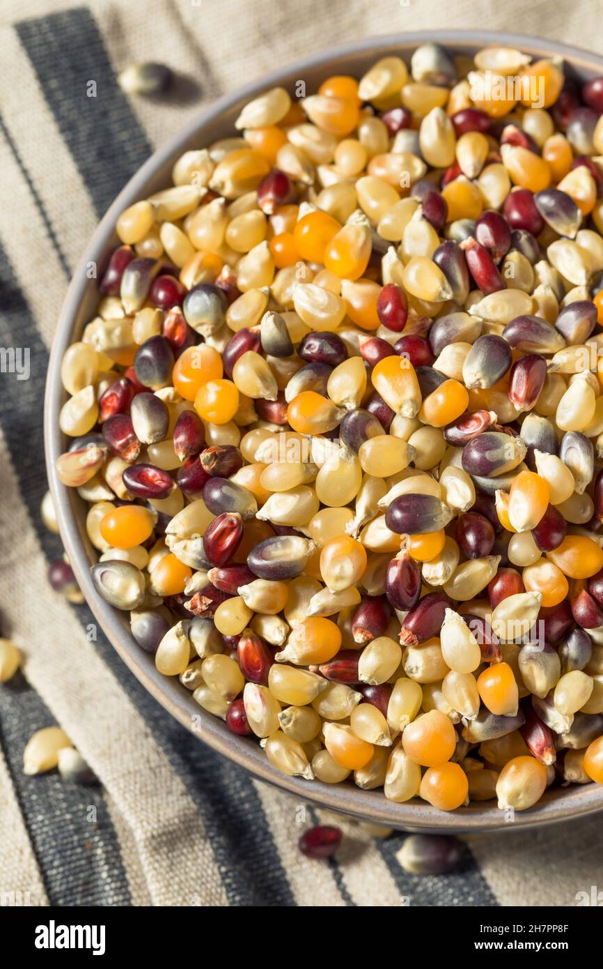 Trocken organisch sortiert Regenbogen Popcorn bereit zum Kochen Stockfoto
