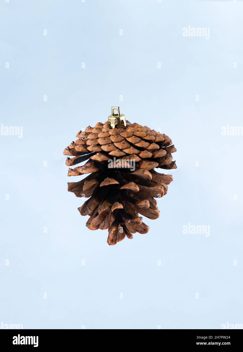 Weihnachtsbaum Spielzeug - Kieferkegel, auf blauem Hintergrund. Kreatives Konzept. EKO-freundlich. Vertikale Ausrichtung. Stockfoto