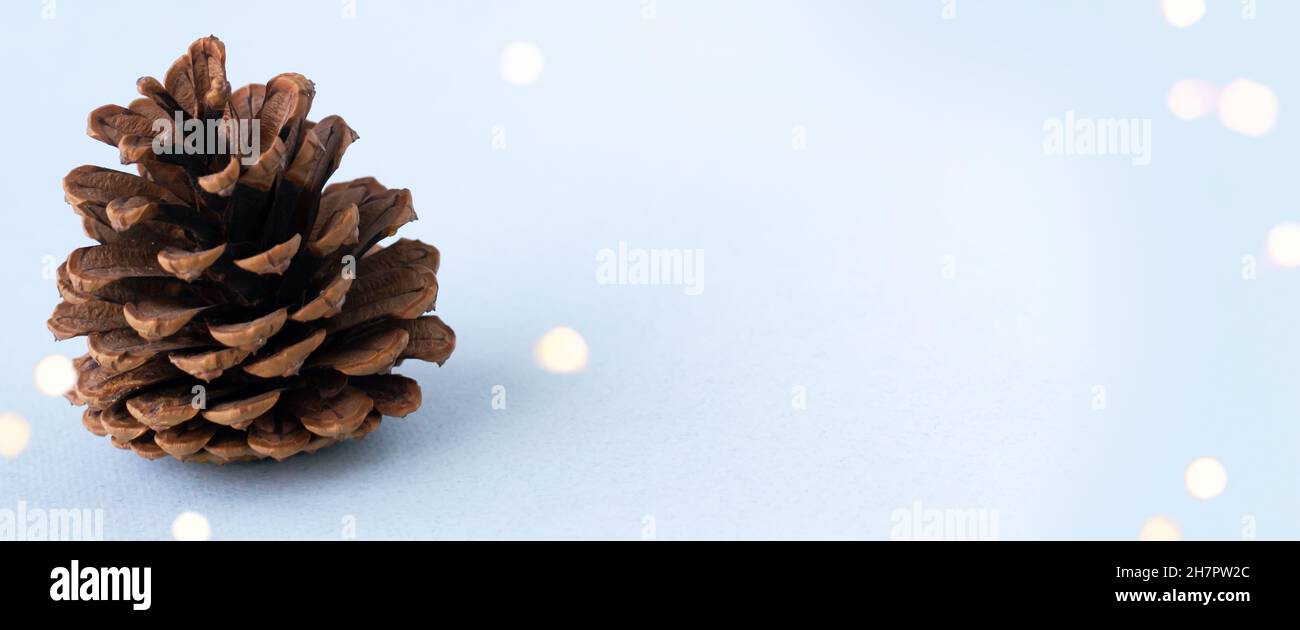 Banner. Kieferkegel auf blauem Hintergrund. Bokeh. Umweltfreundliches Weihnachtsdekorationskonzept. Speicherplatz kopieren. Stockfoto