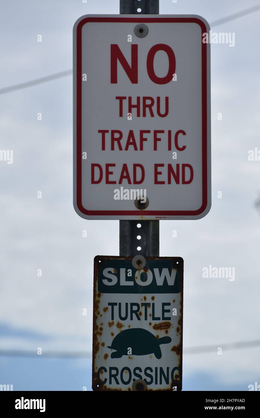 Verkehrsschilder warnen vor dem Überqueren von Schildkröten und einer Sackgasse. Stockfoto