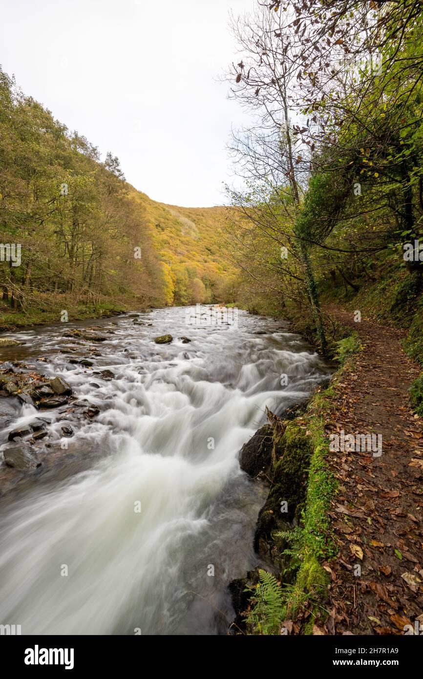 Langzeitbelichtung des East Lyn River, der im Herbst durch das Doone Valley bei Watersmeet im Exmoor National Park fließt Stockfoto