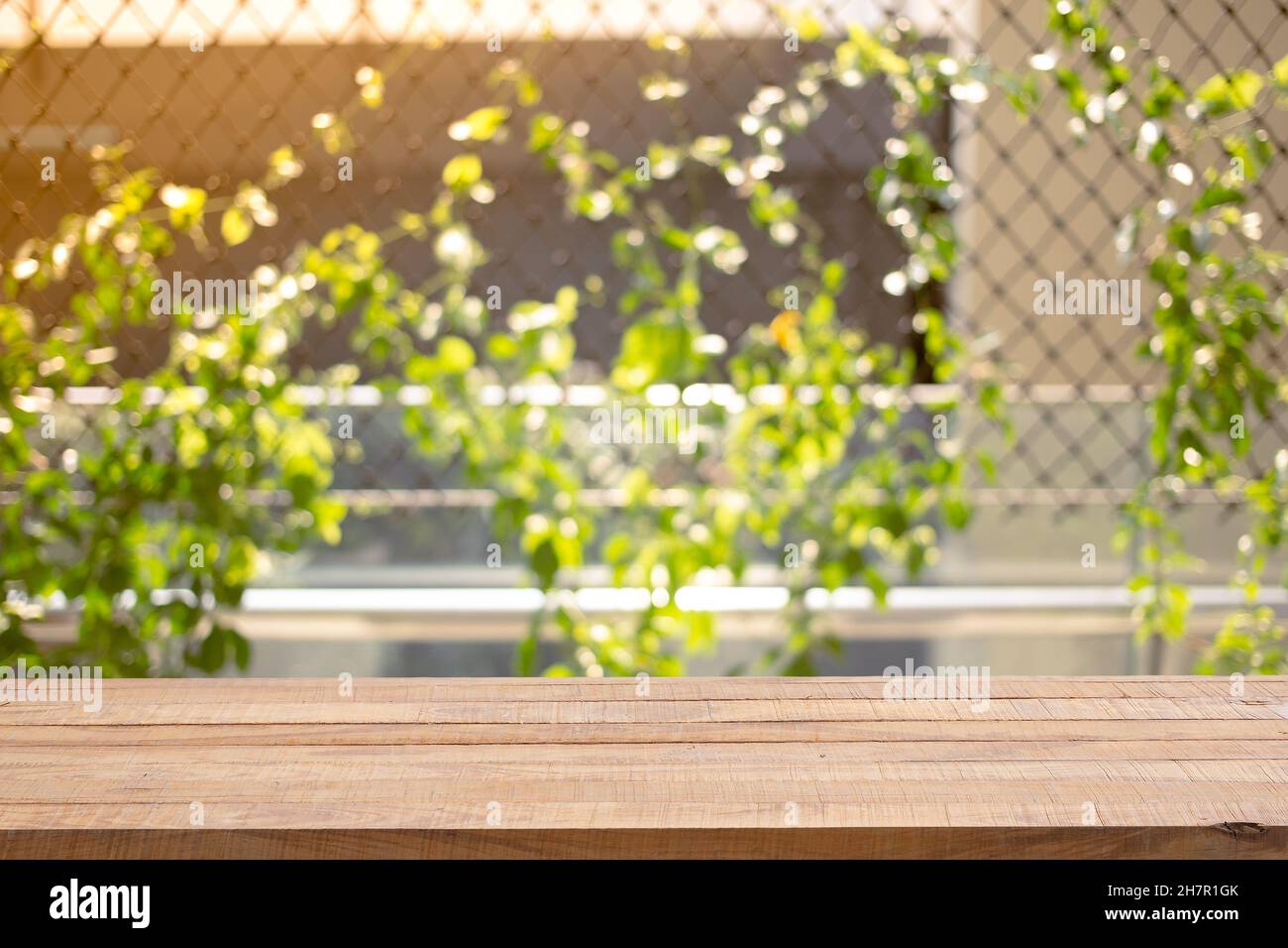 Holztischplatte (Bar) mit Unschärfe auf grünen Blättern oder Baum im tropischen Wald mit Bokeh-Licht im Hintergrund - Verwenden der Mock-up-Vorlage für die Anzeige von y Stockfoto