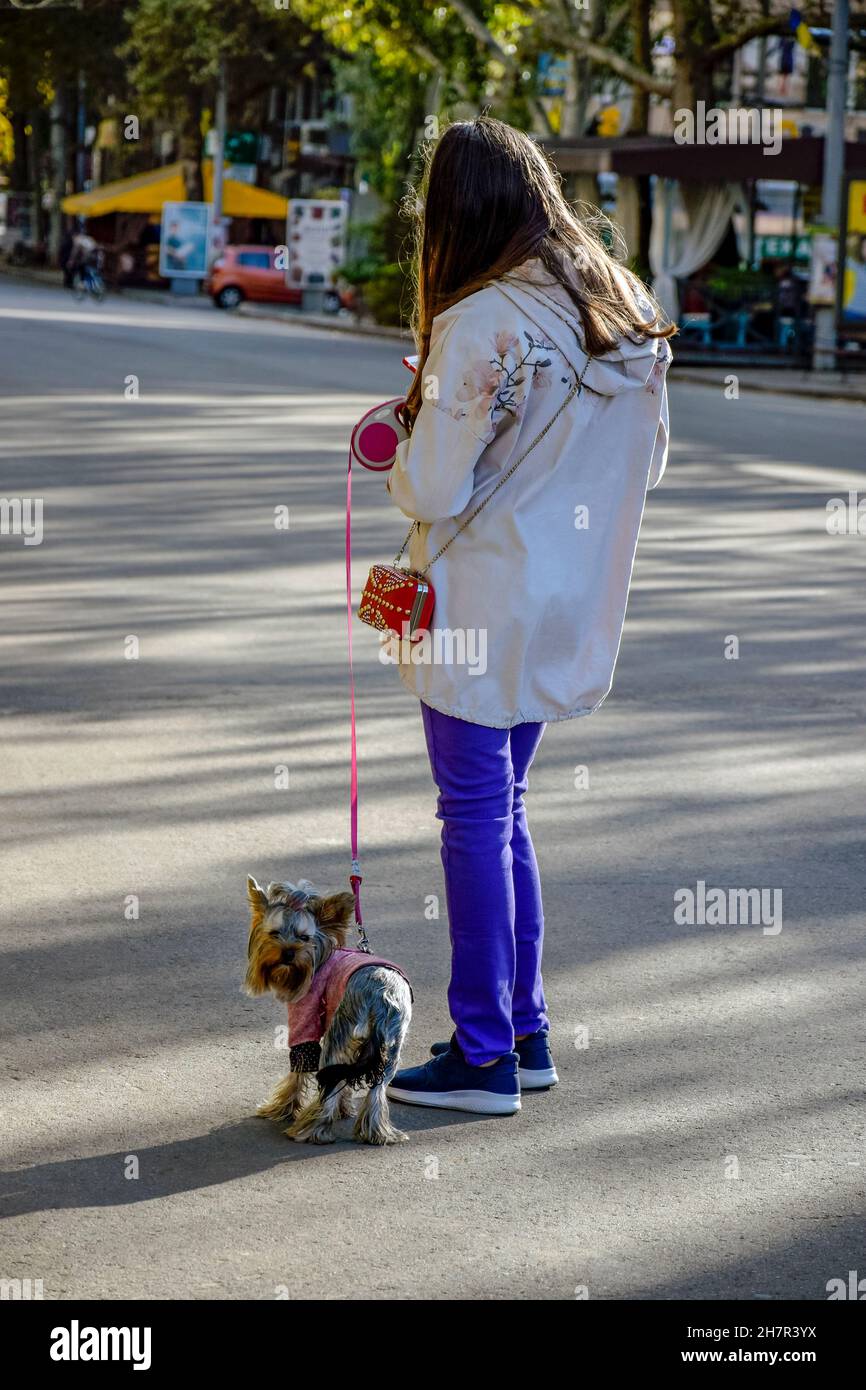 Ein stilvolles Mädchen geht mit ihrem Hund Yorkshire Terrier auf der Stadtstraße. Niedlicher Hündchen an der Leine. Selektiver Fokus. Stockfoto