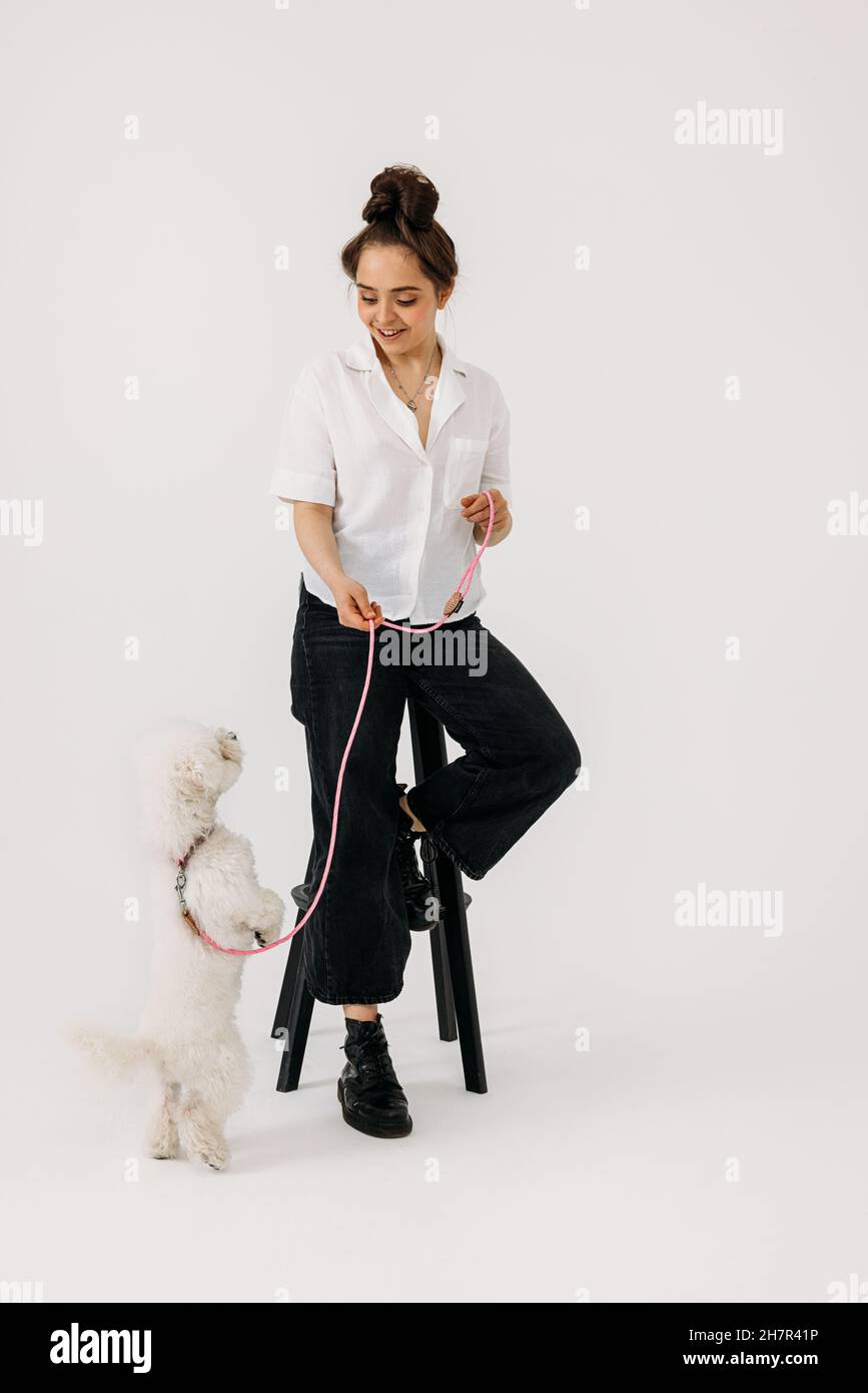 Netter Hund mit weißem Fell, der auf den Hinterbeinen steht und auf den Besitzer schaut Stockfoto