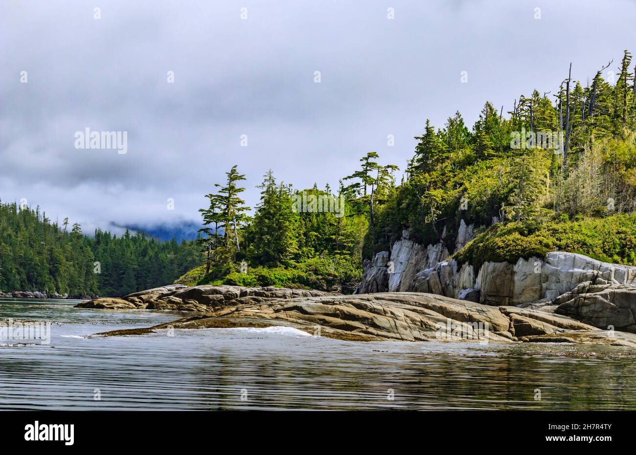 Die Wellen waschen sich sanft auf eine felsige Inselküste am östlichen Rand der Queen Charlotte Strait, im Great Bear Rainforest an der Küste von British Columbia (Juli). Stockfoto