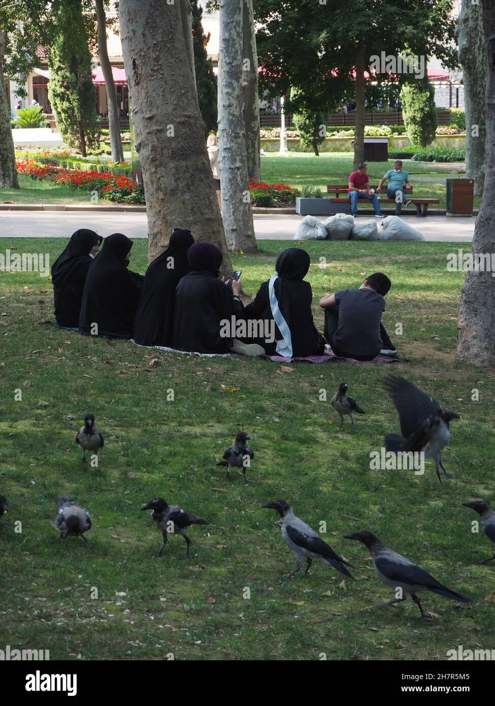 Istanbul ist nicht besonders bekannt für seine Fülle an Parks und Grünflächen, da es sich um eine durch und durch bauorientierte Metropole handelt. Ein paar grüne Gebiete haben es jedoch geschafft, den Ansturm der Gentrifizierung zu überleben, in dem die Menschen ihrer städtischen Routine zumindest eine Weile entkommen können. Intanbul, Türkei. Stockfoto