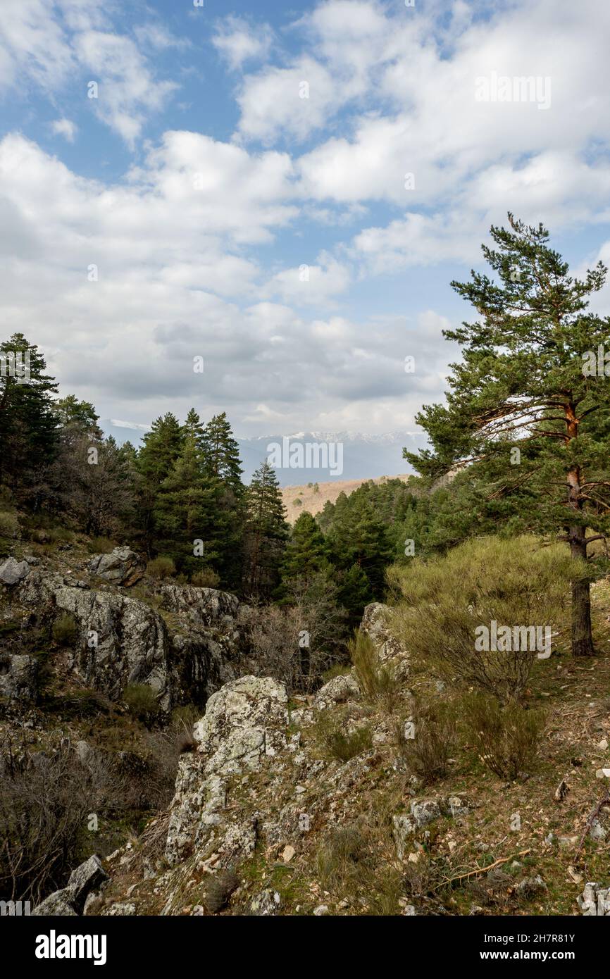 Landschaft aus Bergen und Wäldern im Nationalpark Sierra de Guadarrama, Madrid Spanien. Herbst. Natura-2000-Netz Stockfoto