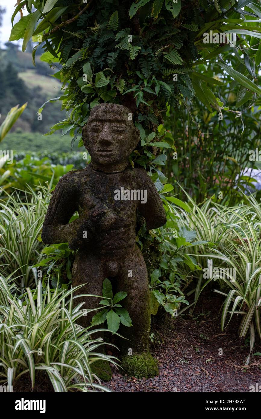 Maya-Skulptur in Kaffeeplantage in Costa Rica Stockfoto