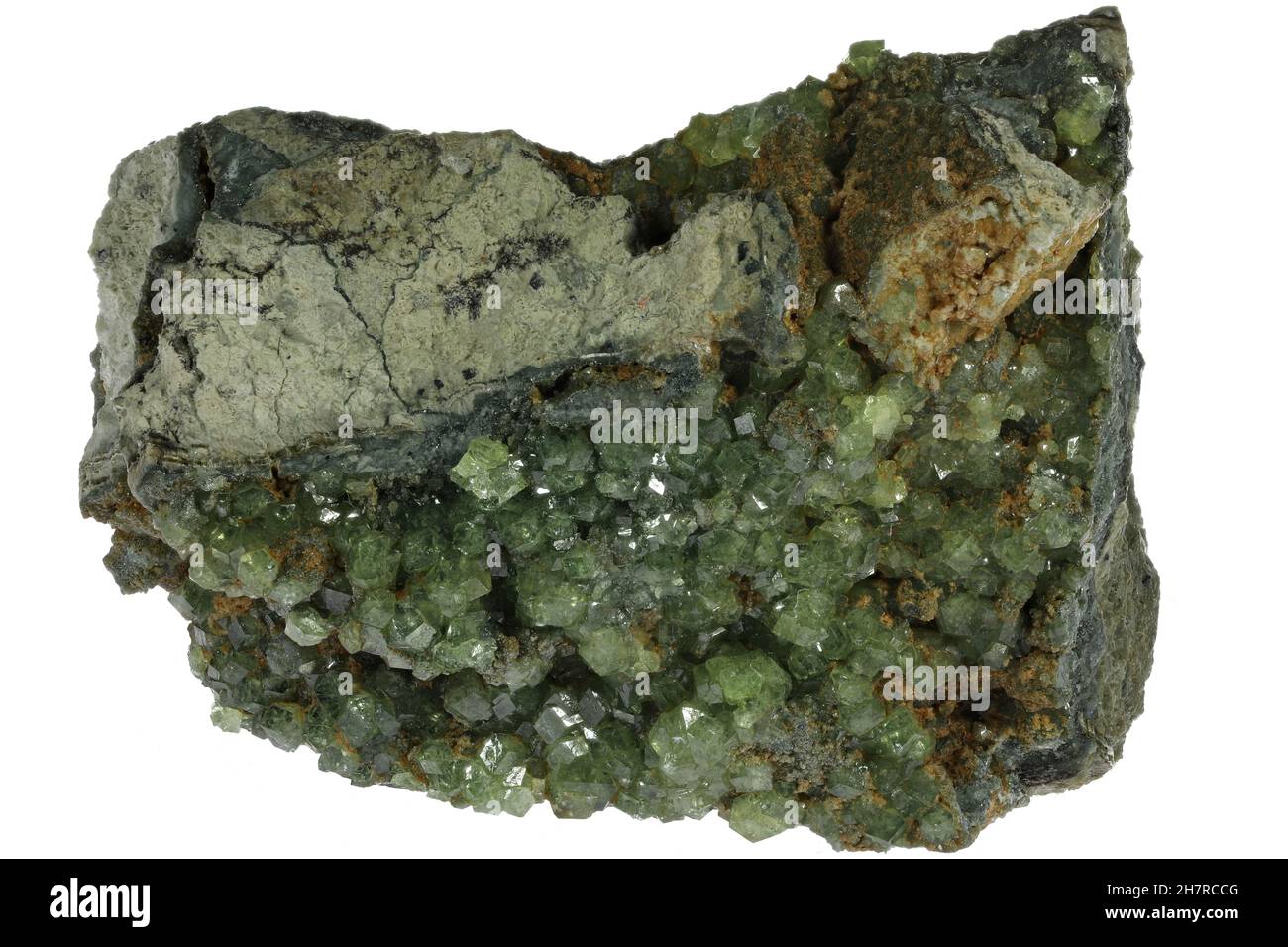 Demantoid auf Matrix aus San Benito County, Kalifornien isoliert auf weißem Hintergrund Stockfoto