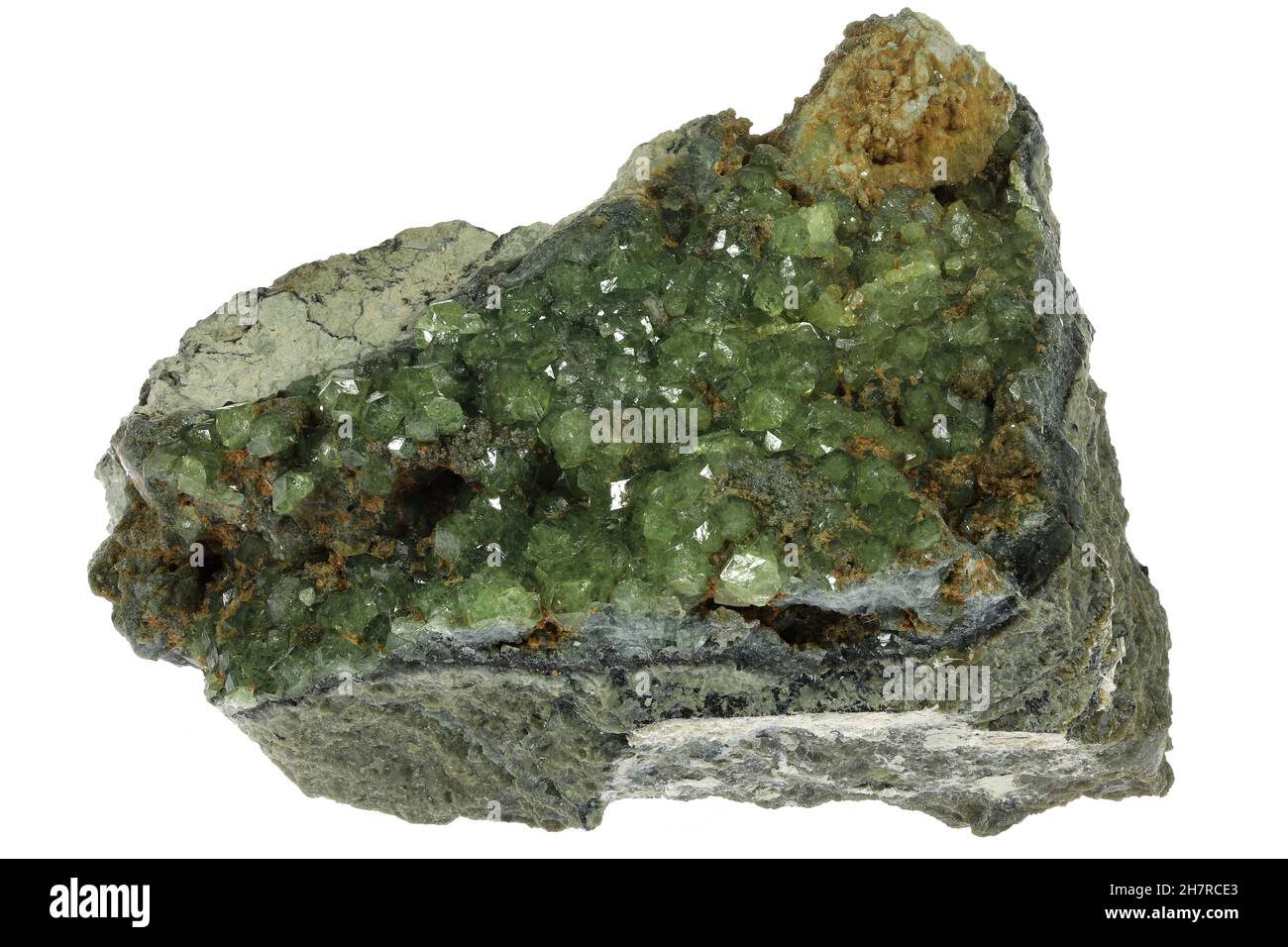 Demantoid auf Matrix aus San Benito County, Kalifornien isoliert auf weißem Hintergrund Stockfoto