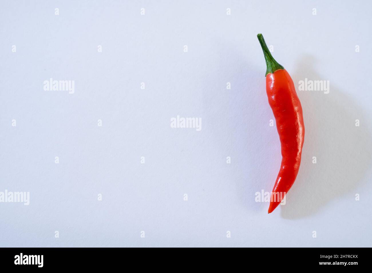 Chili-Pfeffer würzig scharf isoliert auf weißem Hintergrund. Stockfoto