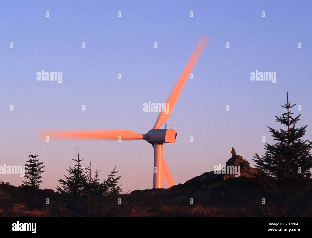 Das Maschinenhaus einer einzelnen Windenergieanlage und die beweglichen Rotorblätter wurden durch die untergehende Sonne hinter der Gipfelkulisse eines angrenzenden Hügels unter einem klaren blauen Himmel rosa. Stockfoto