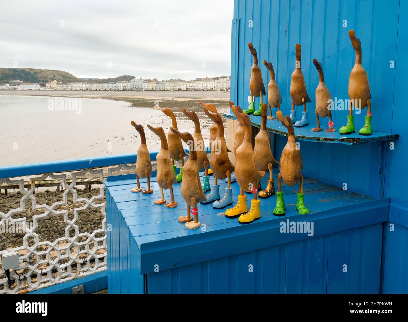 Reihen von geschnitzten, bemalten Holzenten in bunten gummistiefeln zum Verkauf am Pier von Llandudno. Stockfoto