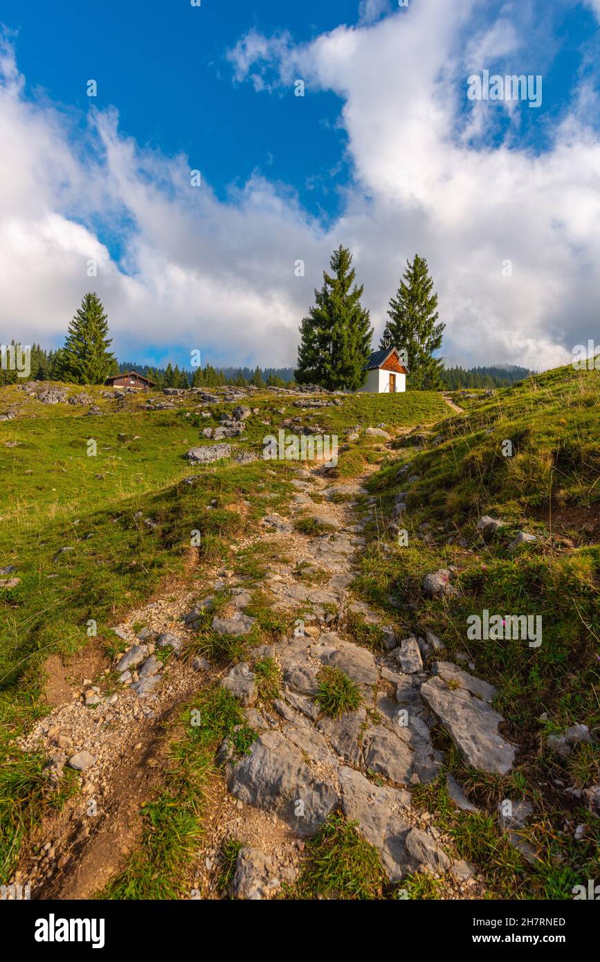 Winklmoosalm oder Winklmoosalm, Hochplateau 1170m ASL, Reit im Winkl, Chiemgau, Oberbayern, Bayrischen Alpen, Süddeutschland, Europa Stockfoto