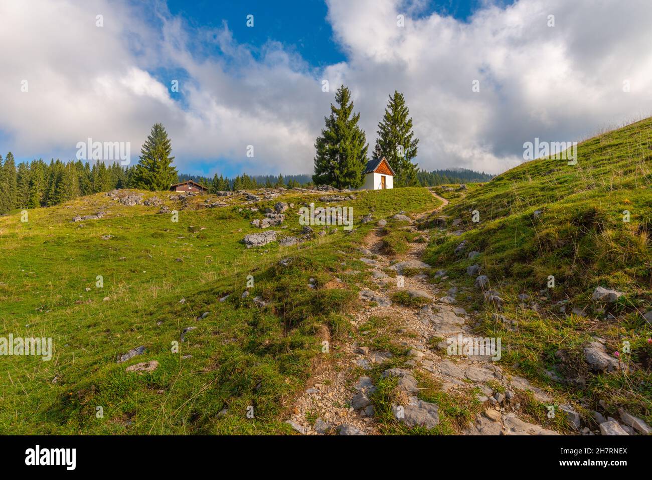Winklmoosalm oder Winklmoosalm, Hochplateau 1170m ASL, Reit im Winkl, Chiemgau, Oberbayern, Bayrischen Alpen, Süddeutschland, Europa Stockfoto